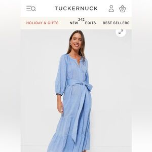 Tuckernuck Light Blue Long Sleeve Dress